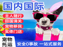 海口美兰航空运输国际宠物托运 【国